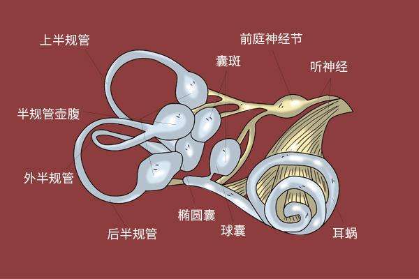 ��ʯ�Y����ί���