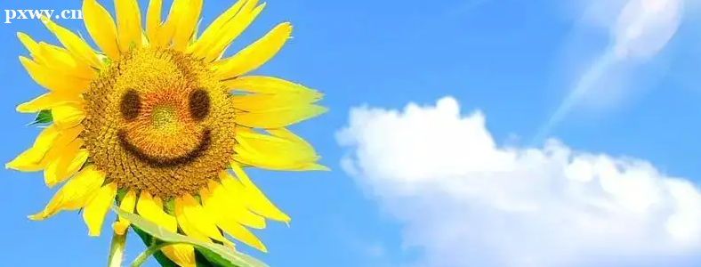 ����������ô���B(y��ng)��