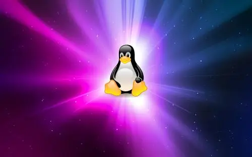 LinuxӖ(xn)C(gu)ôx