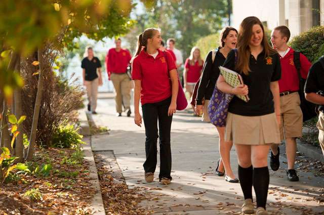 ���Ӳ���ȥ������W��