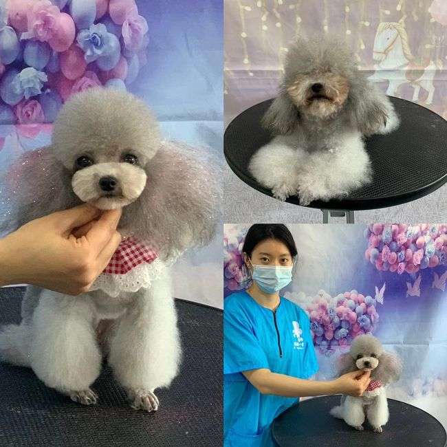 �������ݎ�һ���´�Ŷ����X��