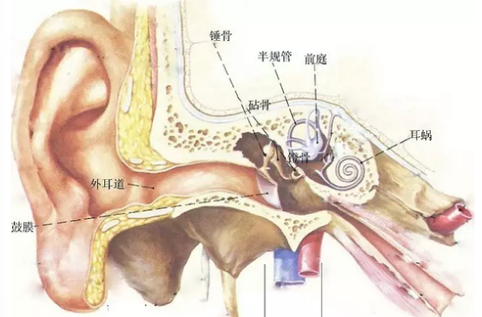 ���ѣ���O�п����Ƕ�ʯ�Y�ı��F(xi��n)