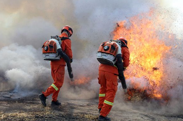 ���������Æ� �������߲���