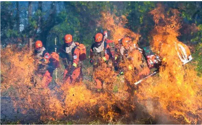 ����(j��)�����O(sh��)ʩ�����T�C��(b��o)���l����ʲô