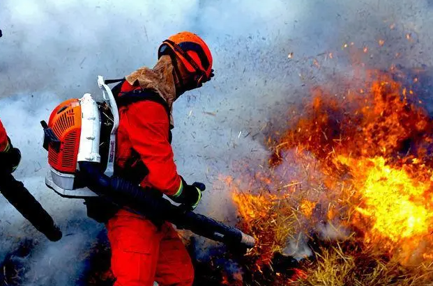 ������ȫ��ԇ�Ă�����ָ����ʲô �������������x