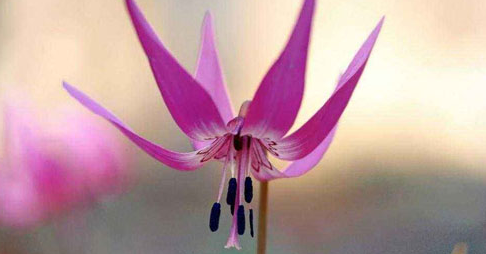 ����A(ch��)����(zh��)�I(y��)ˎ�����ƿ�ԇ�y��