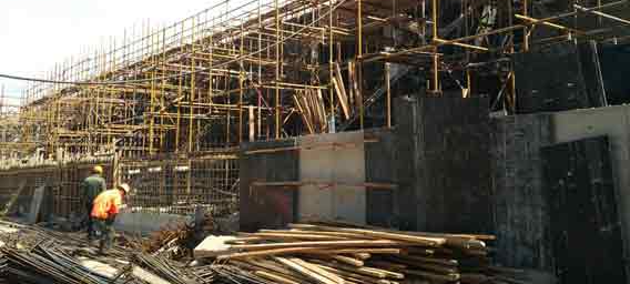 һ�����쎟����������ʲô