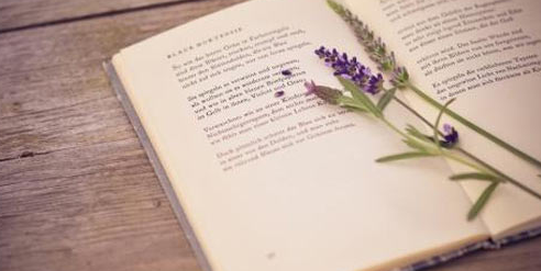 �������펟�C���y���y�� ��ԇ��ʲô��(n��i)��