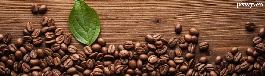 ���ݿ�����Ӗ(x��n)��ô���������ؕ��ȿ���