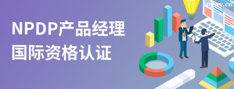 NPDP��ԇ�Y��