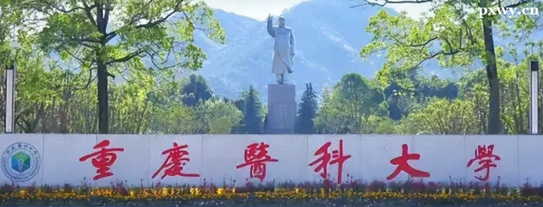 �R���������׵��t(y��)�W(xu��)ԺУ