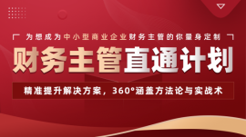 渭南財(cái)務(wù)主管(商業(yè))直通計(jì)劃