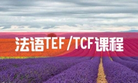 ϷZTEF/TCFn--Zn