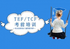 (yng)TEF/TCFǰӖ(xn)