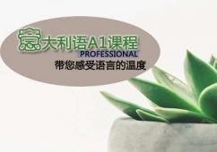 天津意大利語A1課程培訓(xùn)班