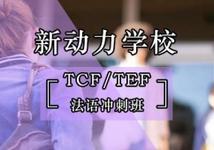 TCF/TEFZ_Ӗ