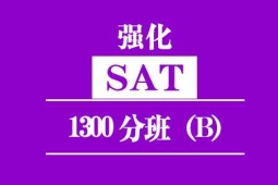 ȪSAT(qing)1300Ӗ(xn)ࣨB