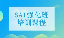 mSAT(qing)Ӗ(xn)n