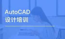 ɶCADȫ澫ͨO(sh)Ӌ(j)Ӗ(xn)