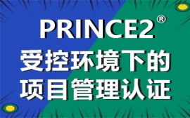 (yng)PRINCE2nӖ(xn)