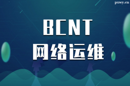 _(ti)BCNTW(wng)j(lu)\(yn)S(zhun)I(y)nӖ(xn)