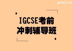 IGCSEǰ_o(do)