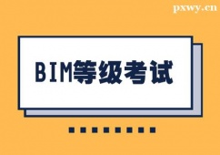 麣BIMȼԇӖ