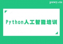 ɽPython˹Ӗ