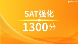 {SAT(qing)1300Ӗ(xn)ࣨ10˰ࣩ